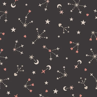 304_Moon Trails.webp