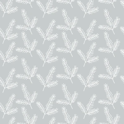 454_White Spruce.webp