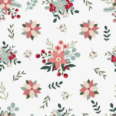 531_Cotton Noel.webp