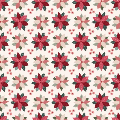 539_Blush Poinsettia.webp