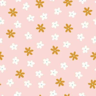 582_Blush Daisies.webp