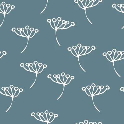 687_White Umbels.webp