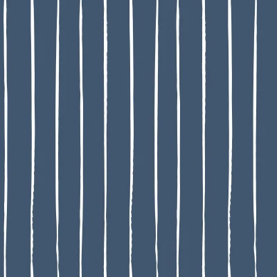 748_Navy Lines.webp