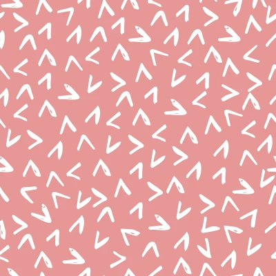 934_Coral Arrows.webp