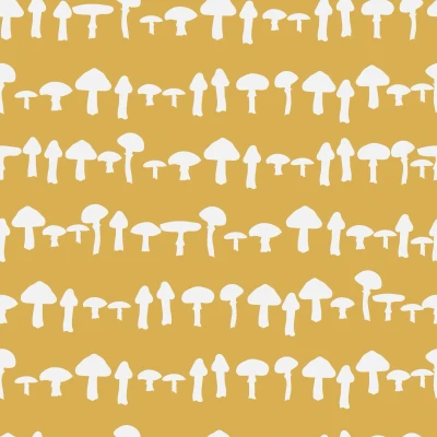 1065_Mushroom Trail.webp