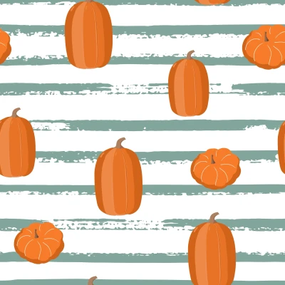 1066_Pumpkin Stripes.webp