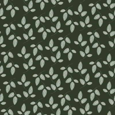 1095_Honey Bears.webp