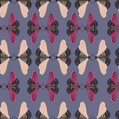 1207_Dusky Wings.webp