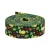 6071 wzorow 08,2025.webp
